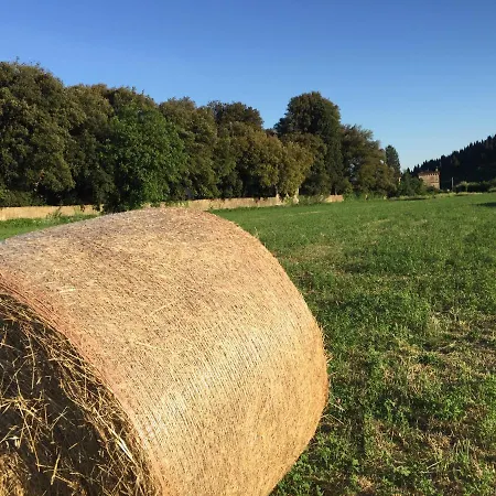 Accanto A Firenze Lejlighed