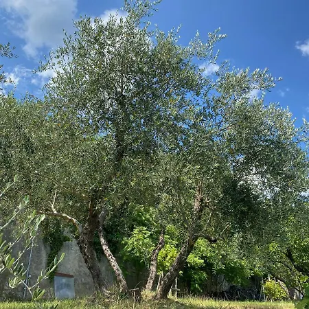 Apartamento Accanto A Firenze Prato (Prato)