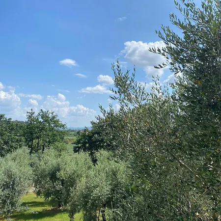 Accanto A Firenze * Prato (Prato)