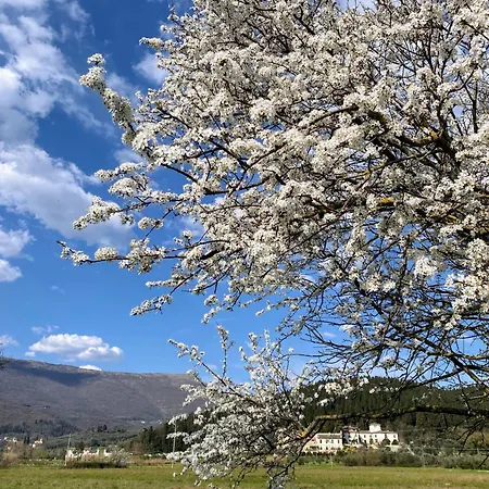 Apartamento Accanto A Firenze Prato (Prato)
